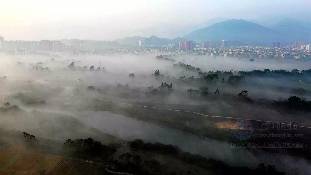 射击红色鸟