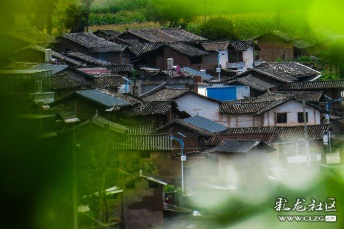 小小兵团