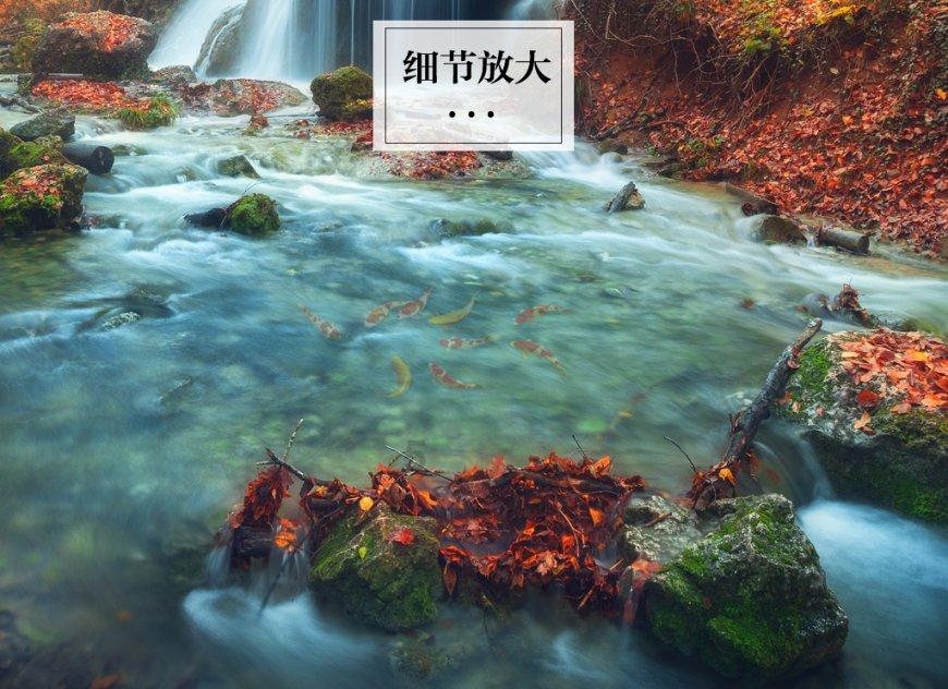 一次性交社保要多少钱?-打破常规的红迪网平台